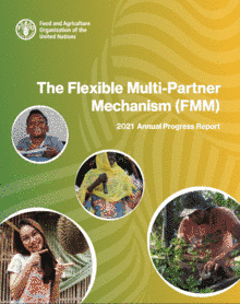 Flexible Multi-partner Mechanism (FMM) - 2021 Annual Progress Report