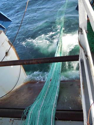 Pelagic trawls: what happens?, EAF-Nansen Programme, Food and Agriculture  Organization of the United Nations, EAF-Nansen Programme