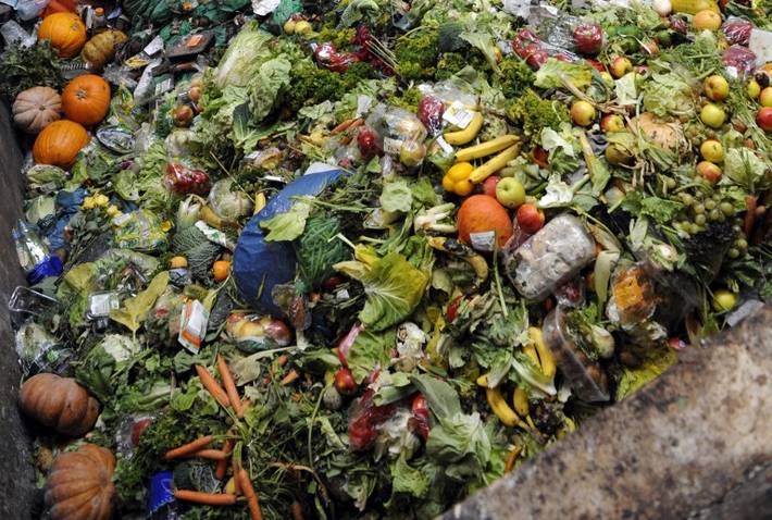 FAO - Noticias: El desperdicio de alimentos daña al clima, el agua, la  tierra y la biodiversidad