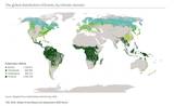 Distribución de los bosques en el mondo por zona climática