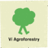 Vi Agroforestry Vi Agroforestry