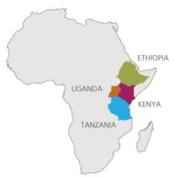 Ethiopia And Kenya Map East Africa | Reducing Enteric Methane For Improving Food Security And  Livelihoods | 联合国粮食及 农业组织