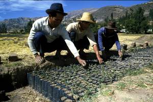 Agricultura sostenible | Objetivos de Desarrollo Sostenible | Organización  de las Naciones Unidas para la Alimentación y la Agricultura
