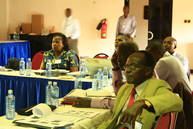Inception workshop, Nakuru, Feb. 2012