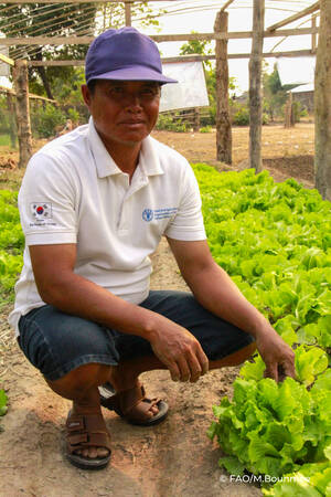La took care of his agricultural produce at his greenhouse. ©FAO/Bounmee Maokhamphiou.