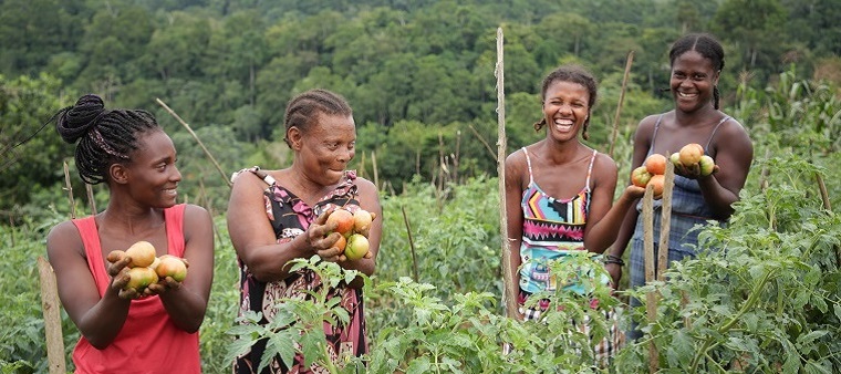 Organização das Nações Unidas para Agricultura e Alimentação: São Tomé e  Príncipe em resumo | FAO em São Tomé e Príncipe | Food and Agriculture  Organization of the United Nations