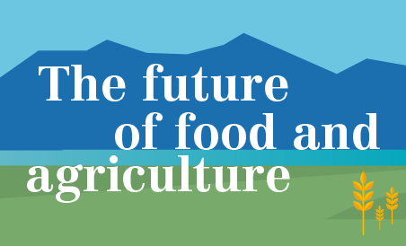 Global Perspectives Studies | Food and Agriculture Organization of the  United Nations