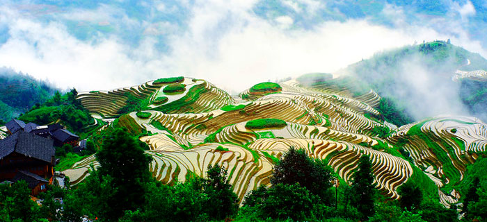 Rizières en terrasse dans les montagnes et collines du sud de la Chine |  Systèmes Ingénieux du Patrimoine Agricole Mondial (SIPAM) | Organisation  des Nations Unies pour l'alimentation et l'agriculture | GIAHS