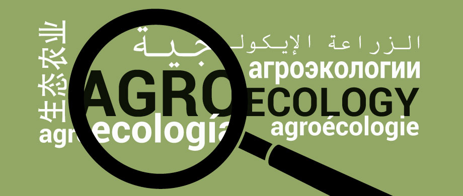 Définition | Plateforme des connaissances sur l'agroécologie | Organisation  des Nations Unies pour l'alimentation et l'agriculture