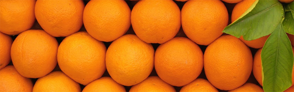 Photo: Oranges
