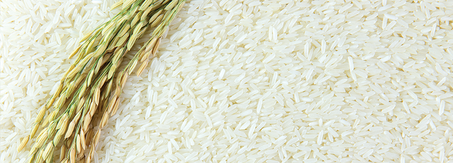 Grain Market Review: Rice