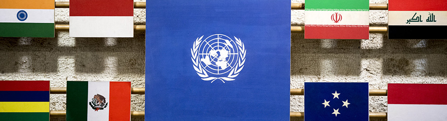Antecedentes | FAO Base de datos de Tratados | Organización de las Naciones  Unidas para la Alimentación y la Agricultura
