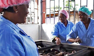 Transformer la vie des femmes de Côte d’Ivoire grâce une technique adaptée de fumage du poisson