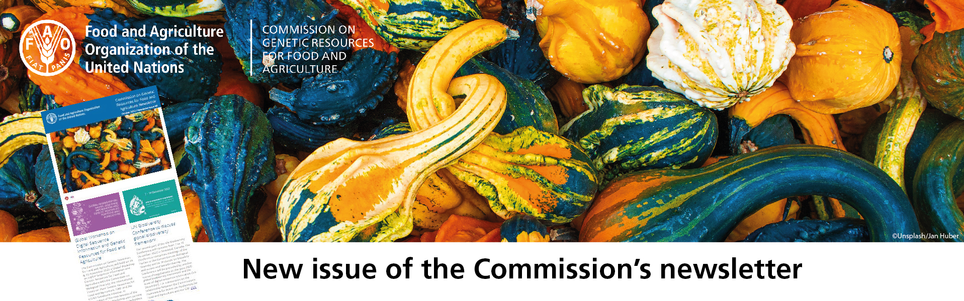 Commission on Genetic Resources for Food and Agriculture | Food and  Agriculture Organization of the United Nations