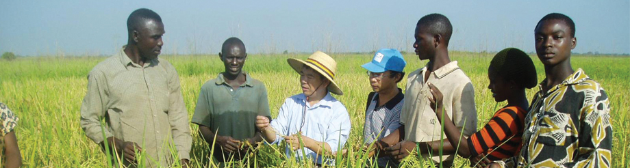 التعاون فيما بين بلدان الجنوب ينجح في ربط نيجيريا والصين ومنظمة الأغذية  والزراعة | FAO | منظمة الأغذية والزراعة للأمم المتحدة
