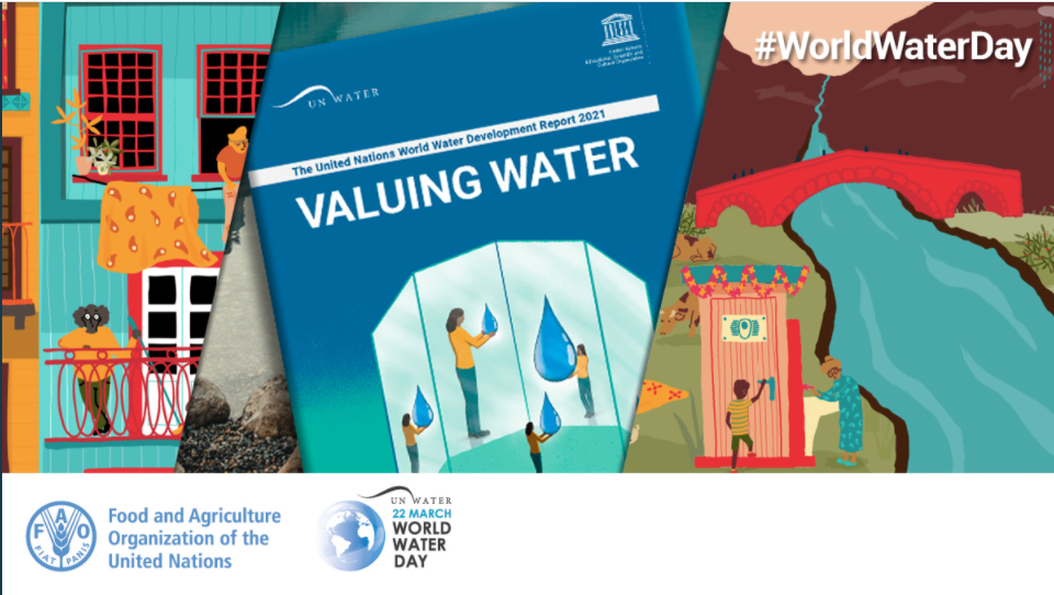 The United Nations world water development report 2021: valuing water